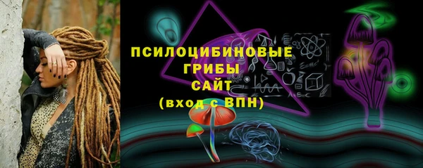 PSILOCYBIN Балахна